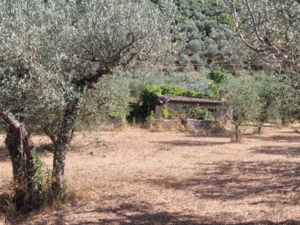 terreno agricolo in vendita a Foligno in zona Carpello