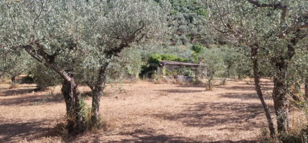terreno agricolo in vendita a Foligno