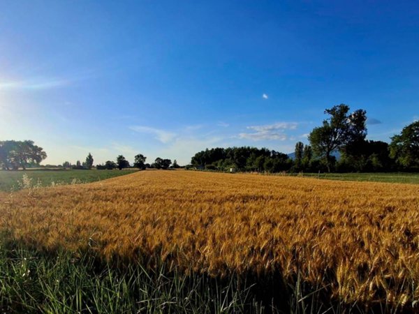 terreno agricolo in vendita a Foligno in zona Corvia