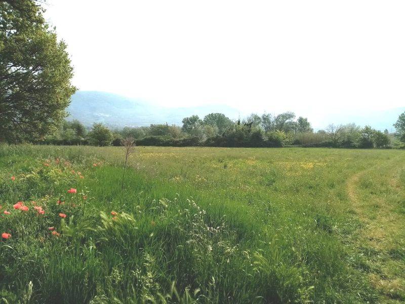 terreno agricolo in vendita a Foligno in zona Sant'Eraclio