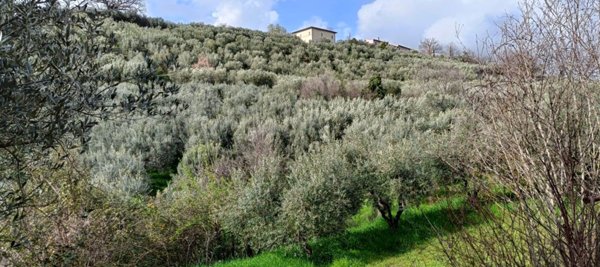 terreno agricolo in vendita a Foligno in zona Uppello