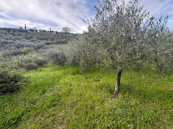 terreno in vendita a Foligno in zona Uppello