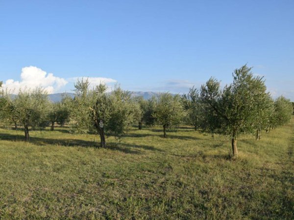 terreno in vendita a Foligno in zona Corvia