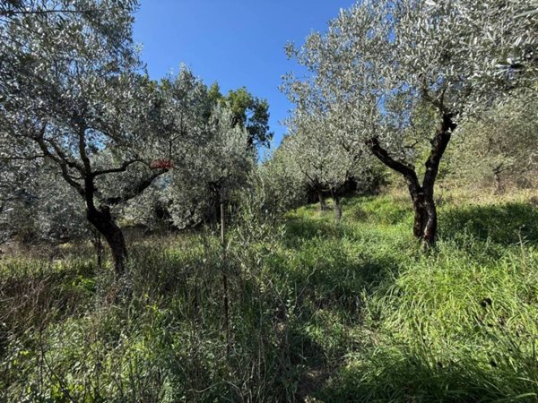 terreno in vendita a Foligno in zona La Valle