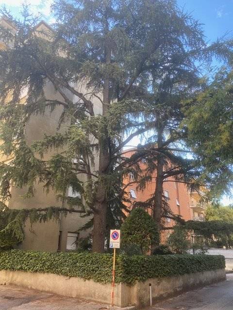 appartamento in vendita a Foligno in zona Sterpete
