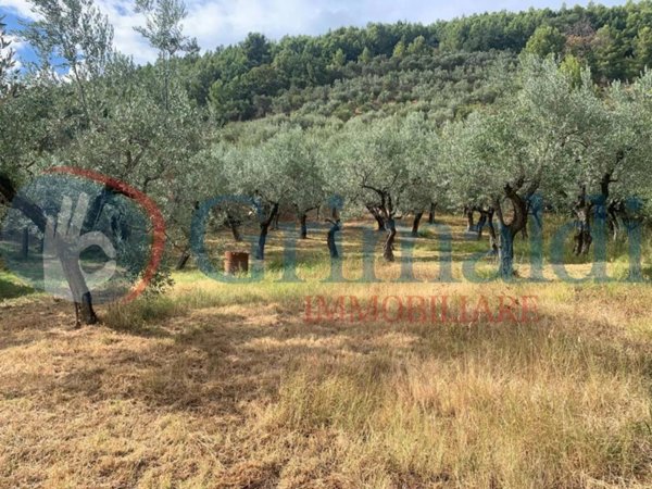 terreno in vendita a Foligno in zona Altolina