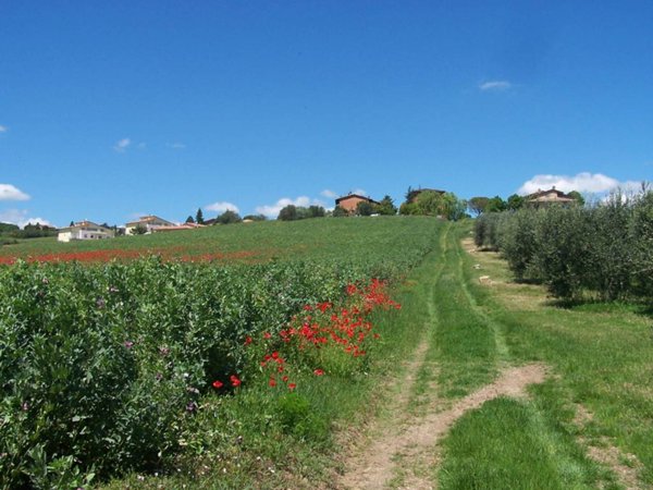 villa in vendita a Fratta Todina