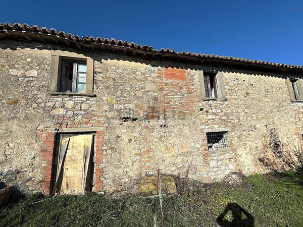 esavano in vendita a Fratta Todina