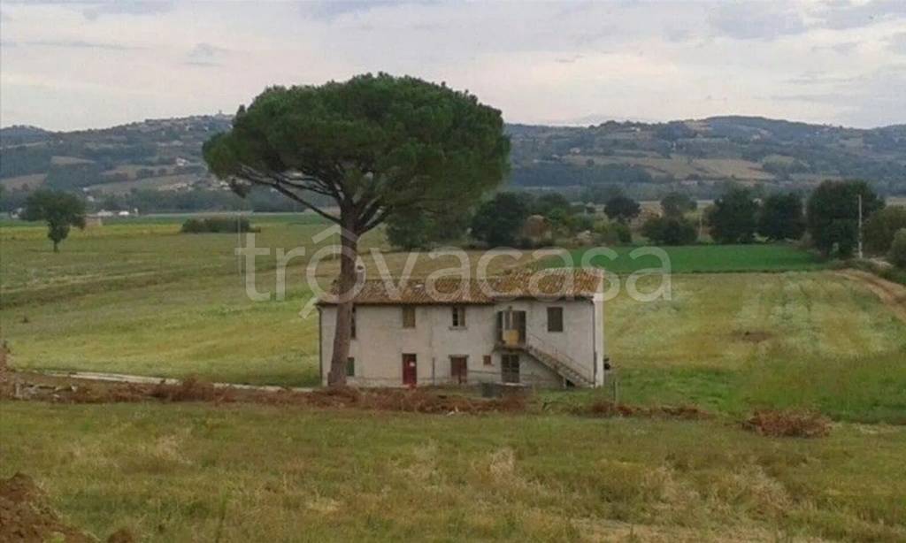 casa indipendente in vendita a Fratta Todina
