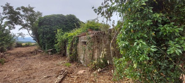 casa indipendente in vendita a Fratta Todina
