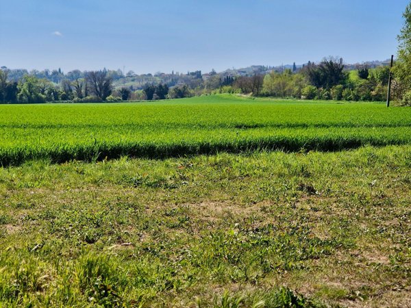 casa indipendente in vendita a Fratta Todina