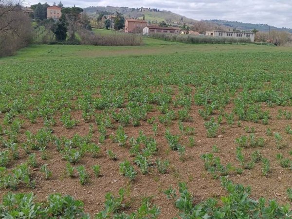 terreno edificabile in vendita a Fratta Todina