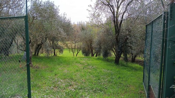 terreno edificabile in vendita a Fratta Todina in zona Bino