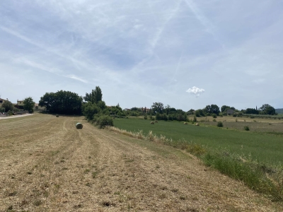 terreno agricolo in vendita a Giano dell'Umbria