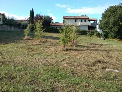 immagine annuncio 0 di 9