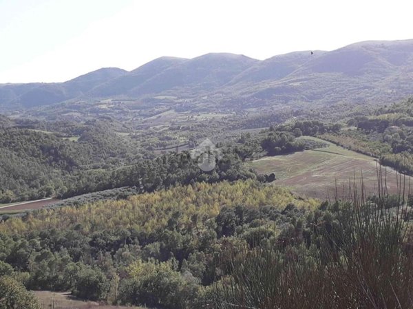 appartamento in vendita a Giano dell'Umbria