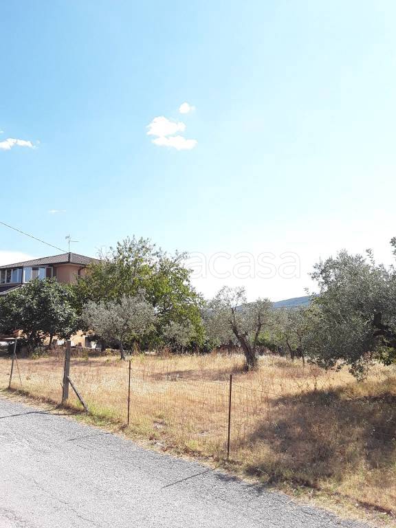 terreno edificabile in vendita a Gualdo Cattaneo in zona Marcellano