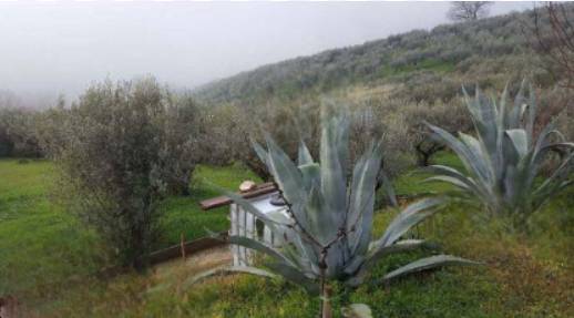 terreno agricolo in vendita a Gualdo Cattaneo in zona Pozzo