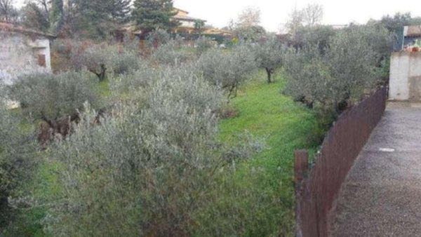 terreno agricolo in vendita a Gualdo Cattaneo in zona Pozzo