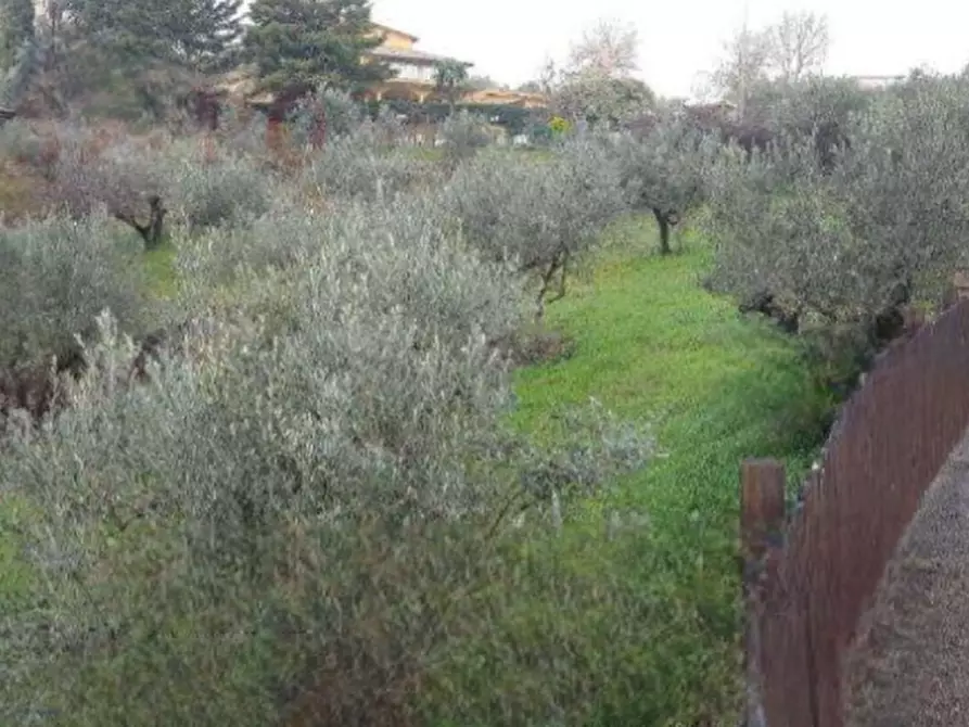 terreno agricolo in vendita a Gualdo Cattaneo in zona Pozzo