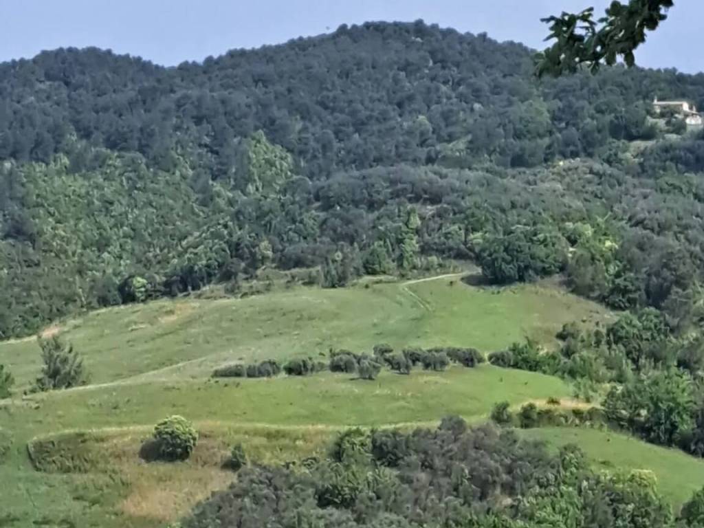 terreno agricolo in vendita a Gualdo Cattaneo in zona San Terenziano