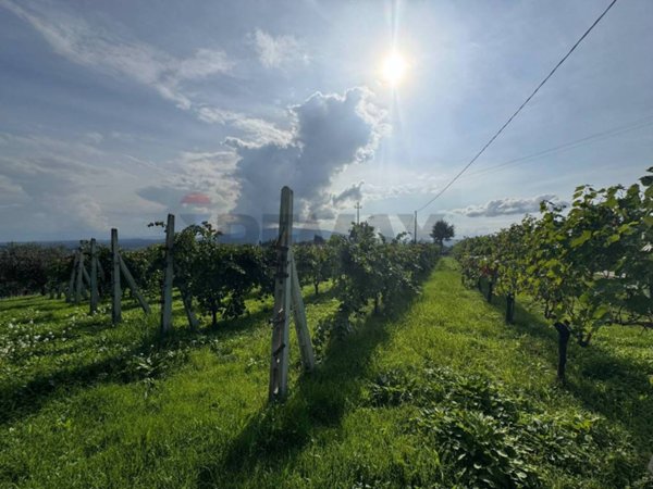 casa indipendente in vendita a Gualdo Cattaneo