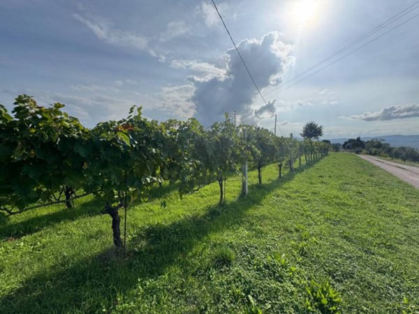 casa indipendente in vendita a Gualdo Cattaneo