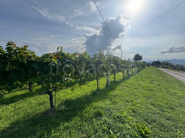 casa indipendente in vendita a Gualdo Cattaneo