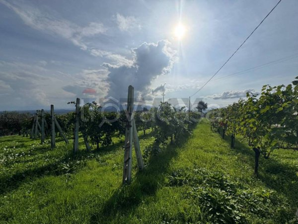 casa indipendente in vendita a Gualdo Cattaneo