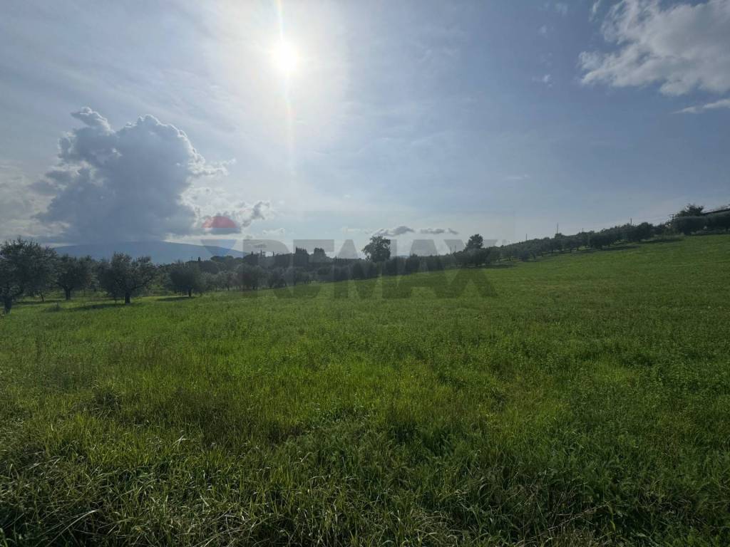 casa indipendente in vendita a Gualdo Cattaneo