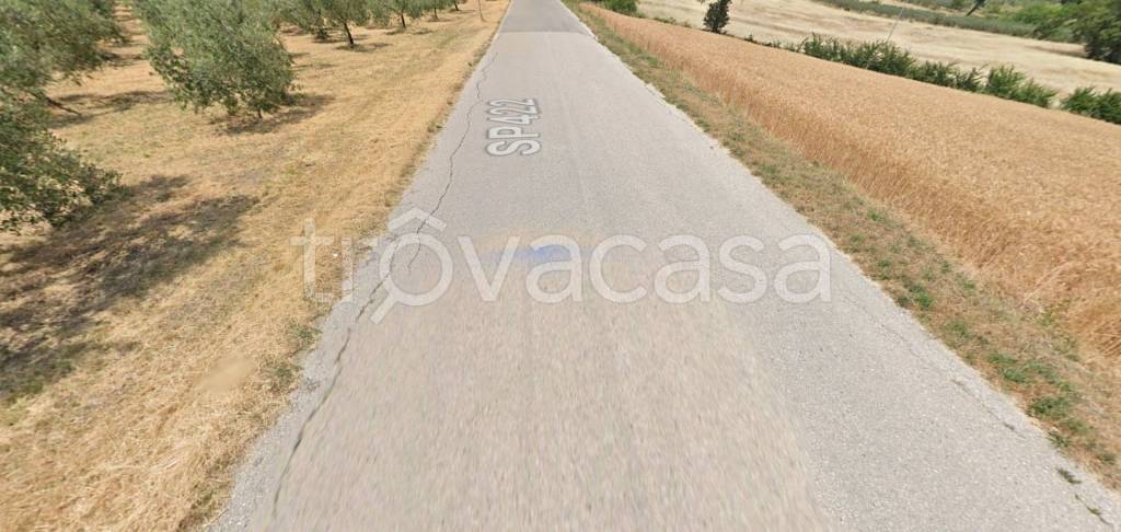 azienda agricola in vendita a Gualdo Cattaneo in zona Torri