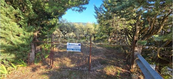 terreno agricolo in vendita a Gualdo Cattaneo in zona Torri