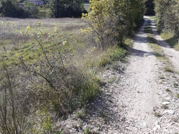 terreno agricolo in vendita a Gualdo Cattaneo in zona Torri