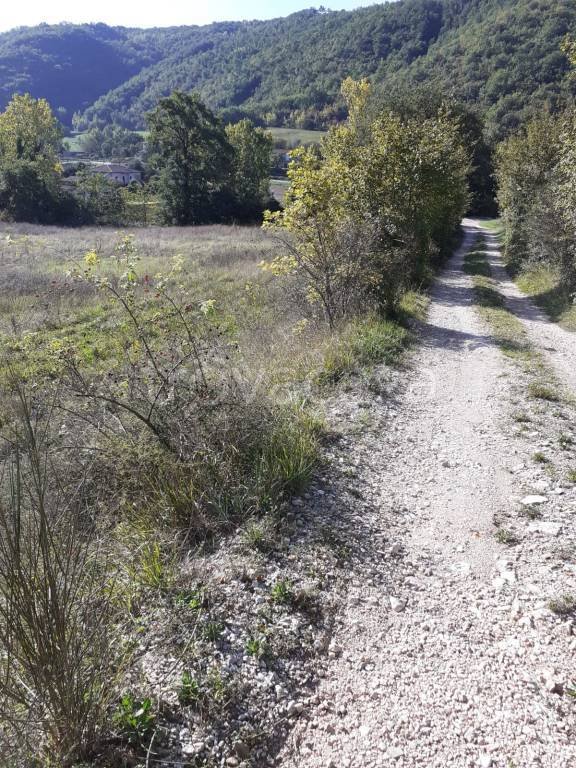 terreno agricolo in vendita a Gualdo Cattaneo