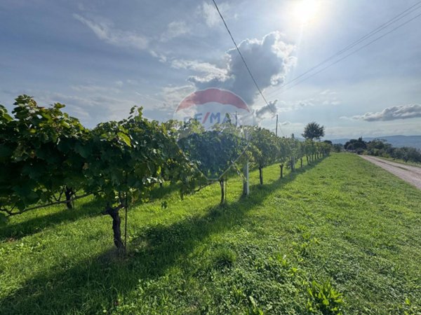 casa indipendente in vendita a Gualdo Cattaneo
