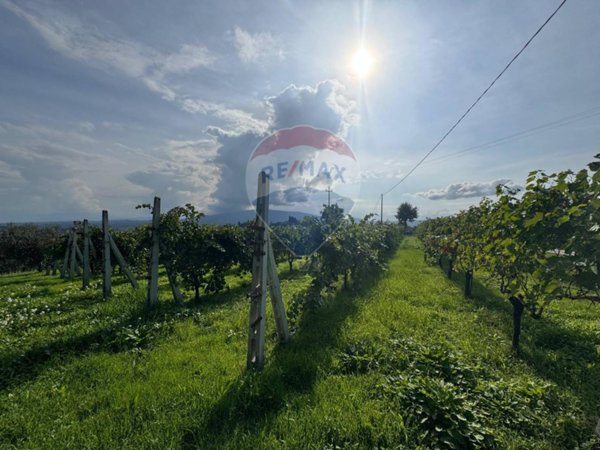 casa indipendente in vendita a Gualdo Cattaneo