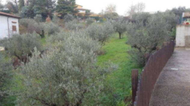 terreno edificabile in vendita a Gualdo Cattaneo in zona Pozzo