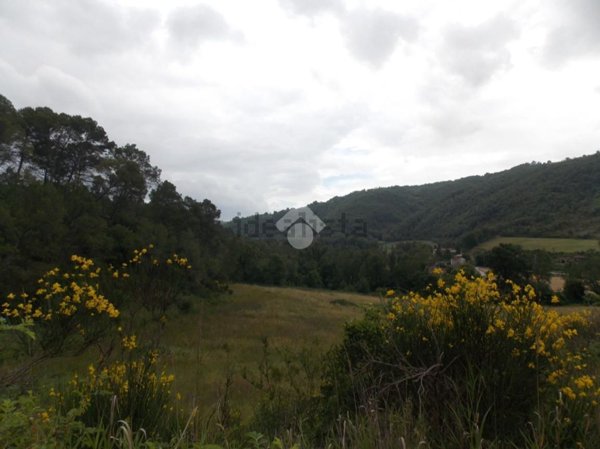 terreno agricolo in vendita a Gualdo Cattaneo in zona Pomonte