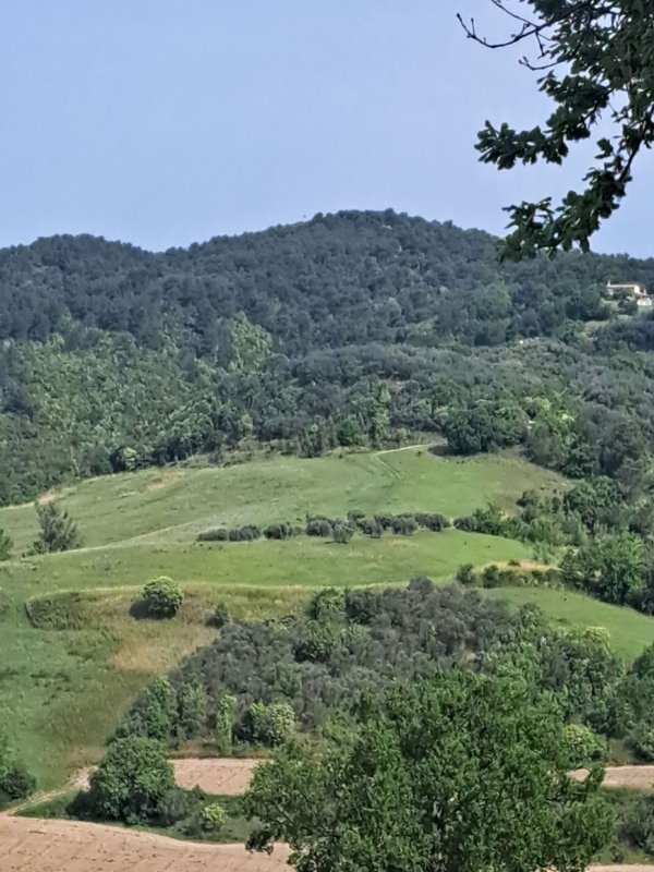 terreno agricolo in vendita a Gualdo Cattaneo in zona San Terenziano