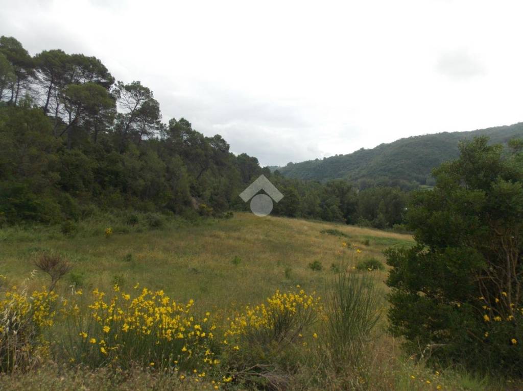 terreno agricolo in vendita a Gualdo Cattaneo in zona Pomonte