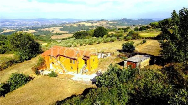 immagine annuncio 0 di 15