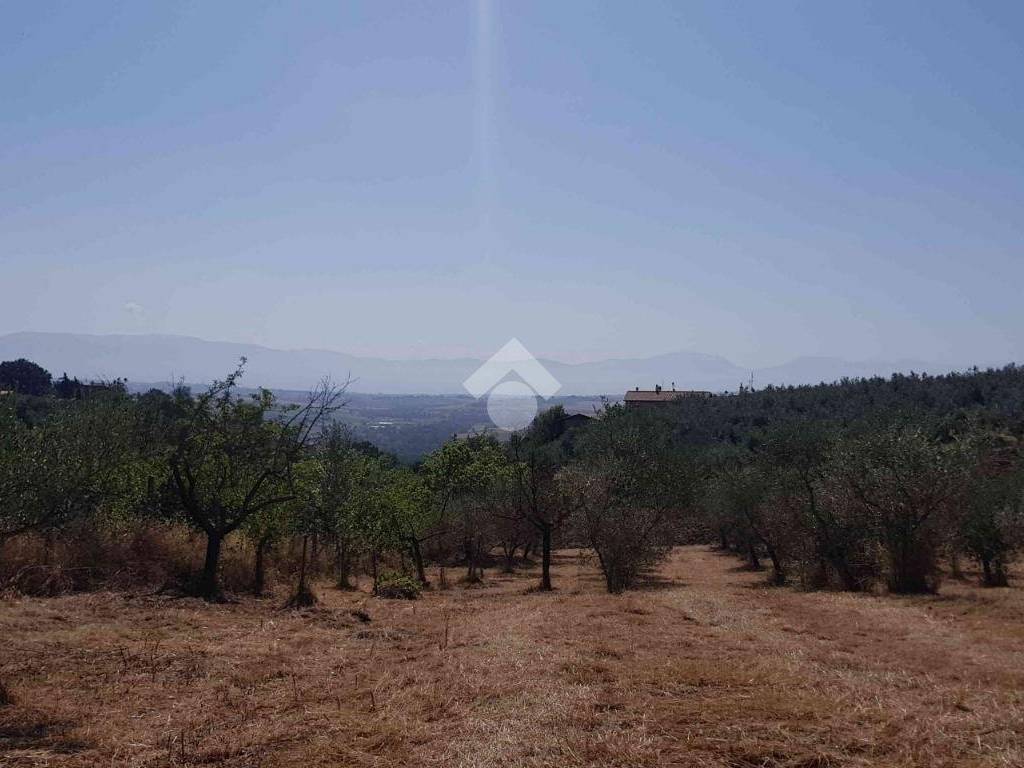 appartamento in vendita a Gualdo Cattaneo