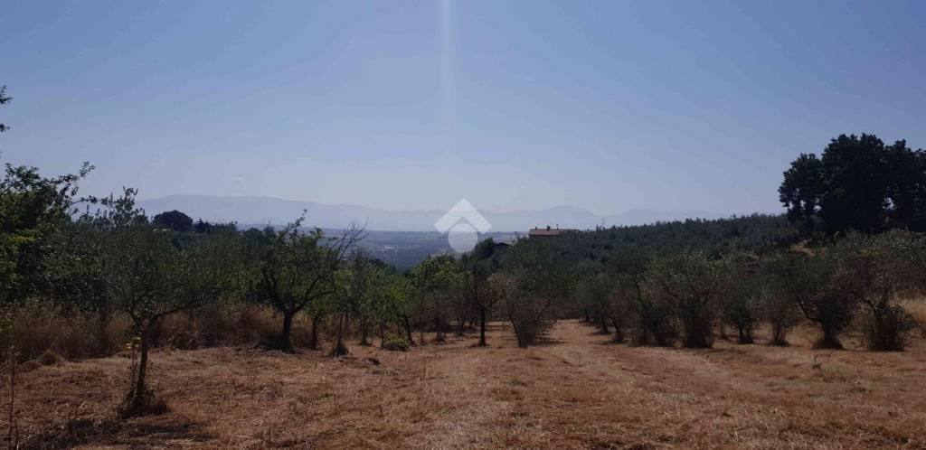 appartamento in vendita a Gualdo Cattaneo