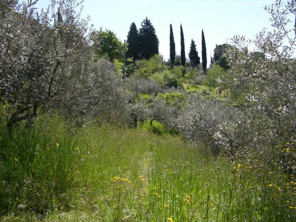 terreno edificabile in vendita a Gualdo Cattaneo