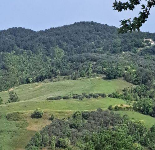terreno agricolo in vendita a Gualdo Cattaneo in zona San Terenziano