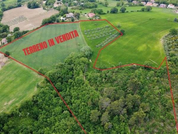 terreno agricolo in vendita a Gualdo Cattaneo