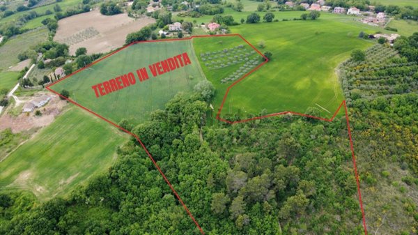 terreno agricolo in vendita a Gualdo Cattaneo