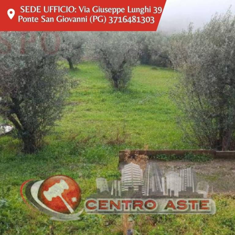 terreno in vendita a Gualdo Cattaneo in zona Pozzo