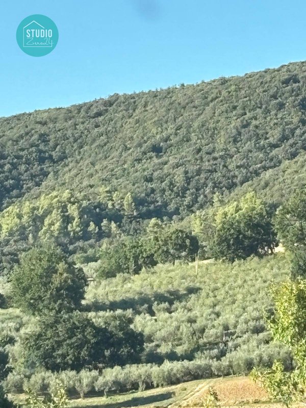 terreno in vendita a Gualdo Cattaneo in zona Pomonte