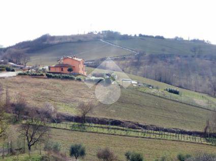 terreno agricolo in vendita a Gualdo Tadino in zona Grello